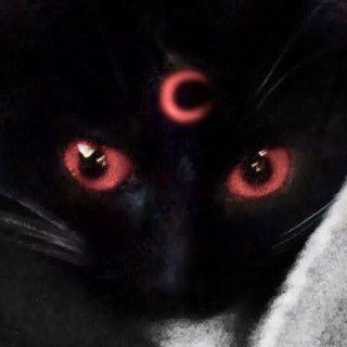 wkyaa avatar