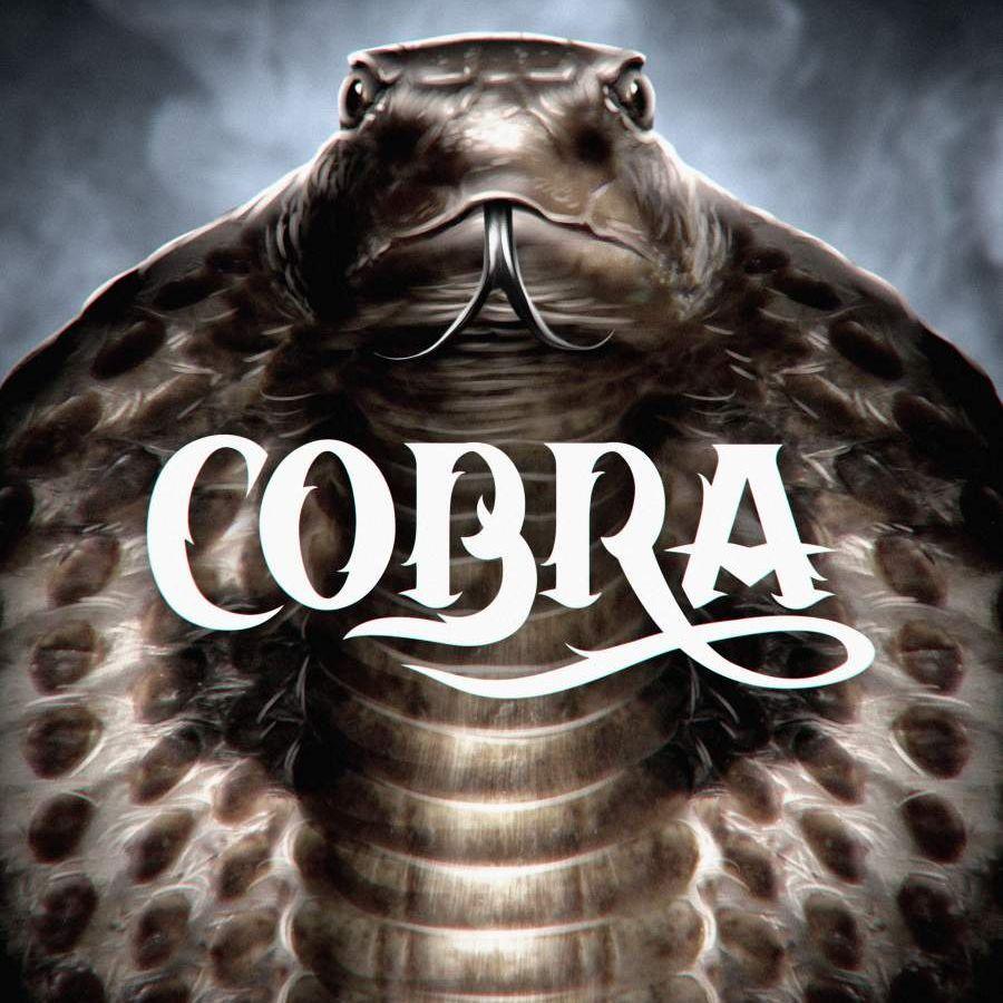 Lady_Cobra avatar