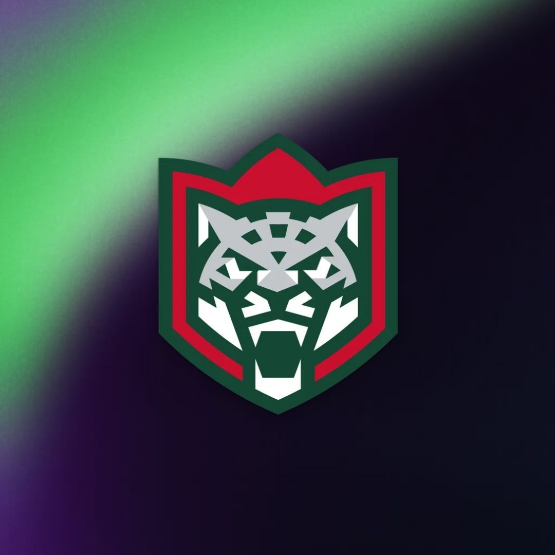 Faceit avatar