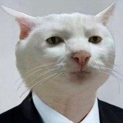 Dmitriy800iq avatar