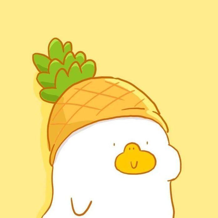 shukagee avatar