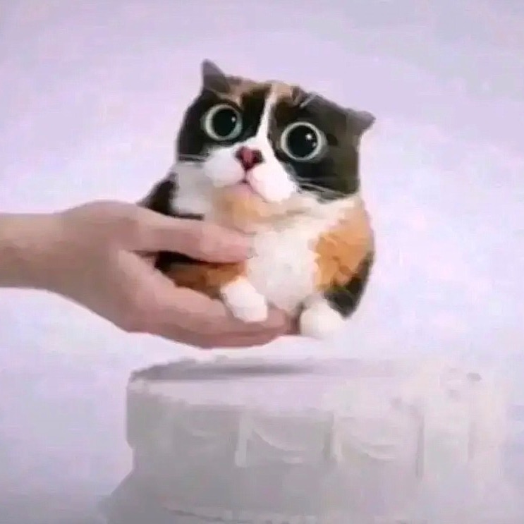 sukanyaa