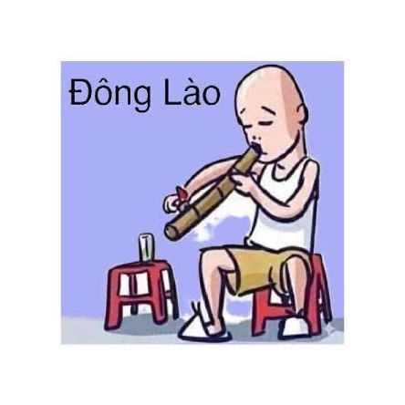 iamdong1102