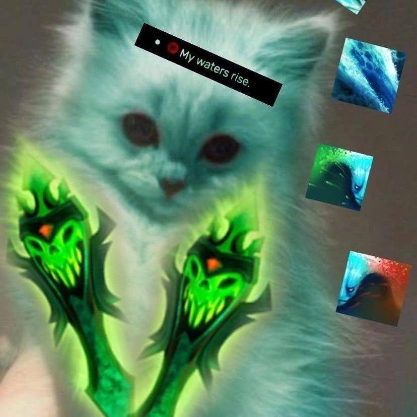floppalopa