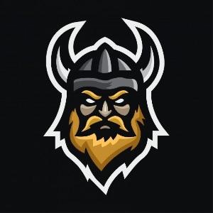 Player viking77- avatar