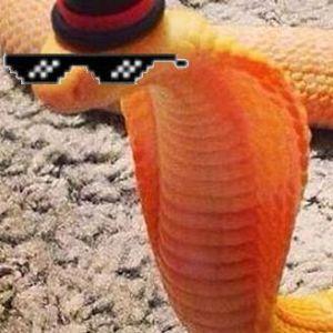 Bubi_gamer avatar