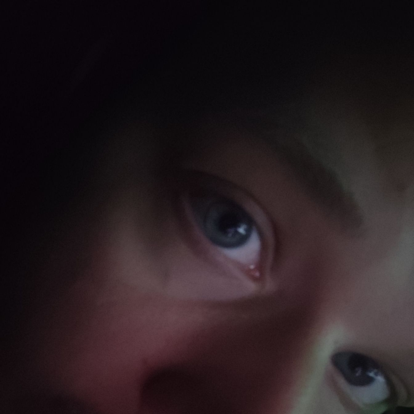 ChrisKayle