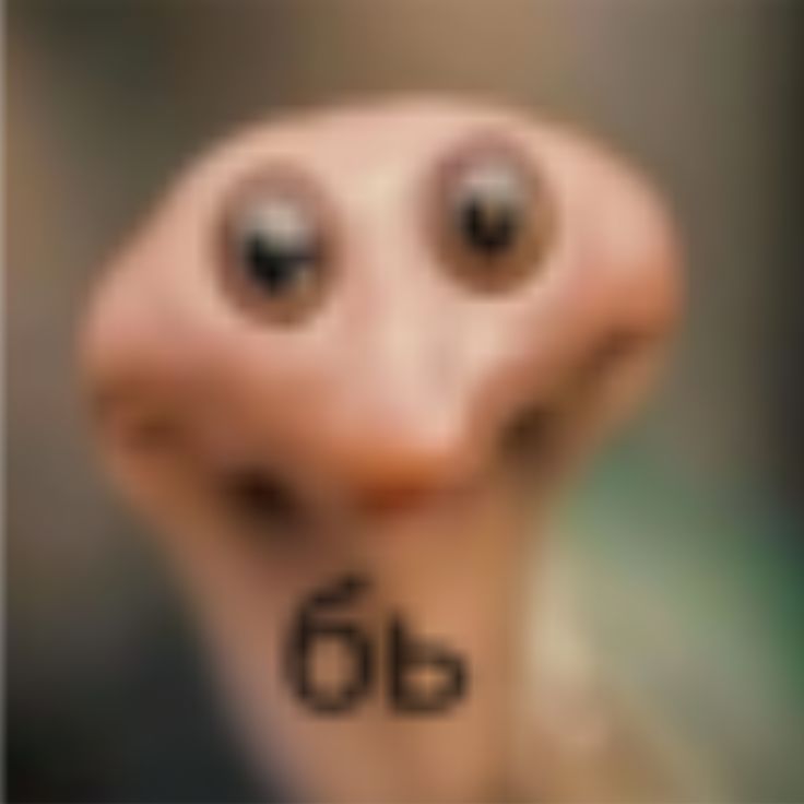 quazar
