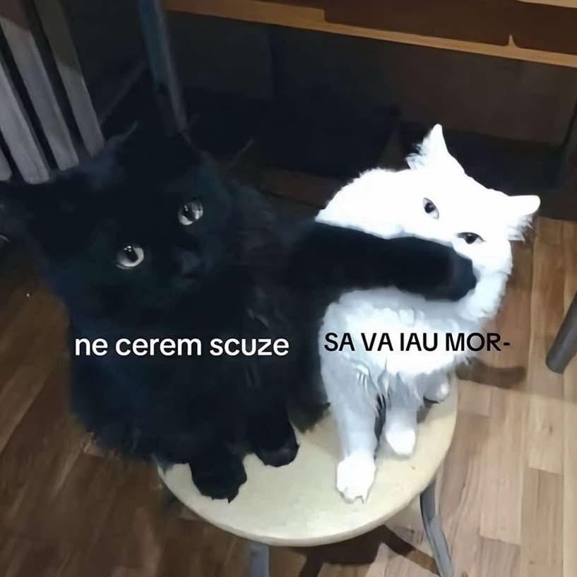 darksennn avatar