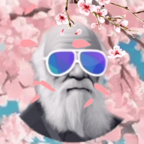 Darwin