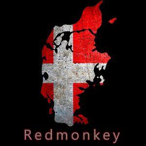 RedmonkeyDK avatar