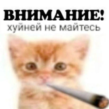 chyk1591 avatar