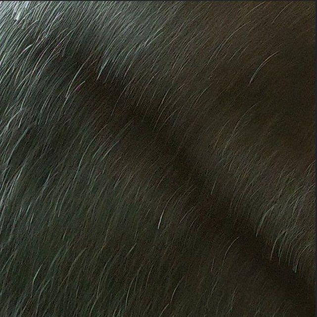 V1KSINI avatar