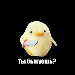 _Qwizzzy_ avatar