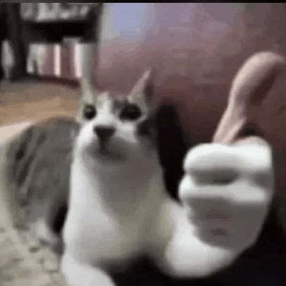 brkxd