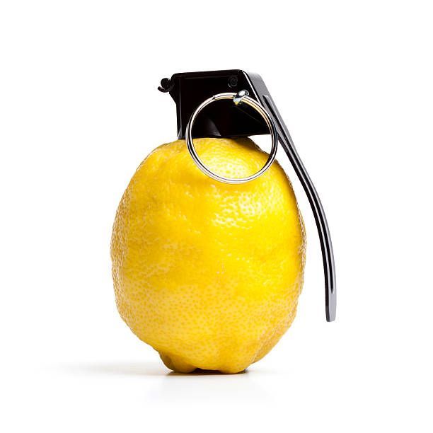 team_Lemonsss
