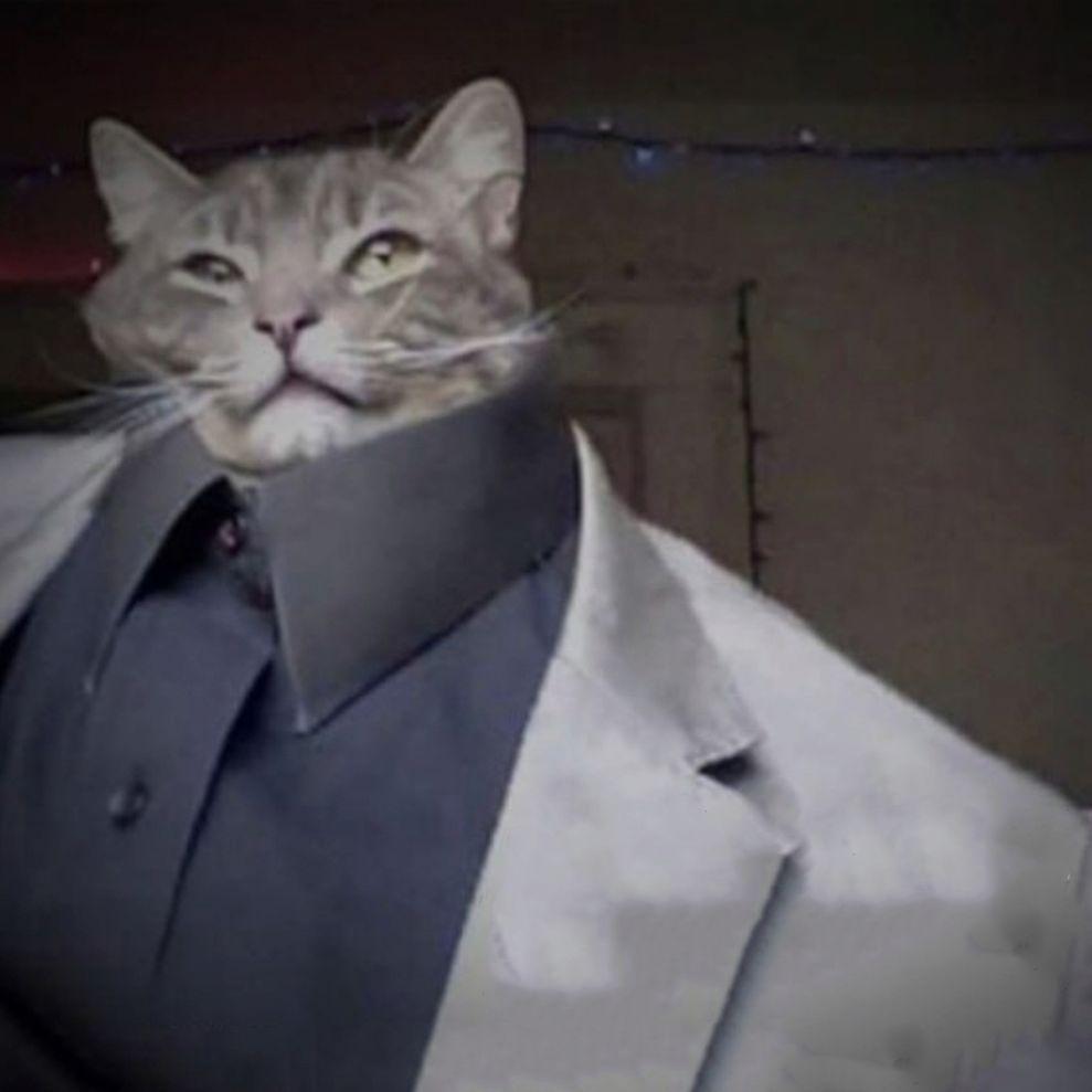 Кошка в пиджаке
