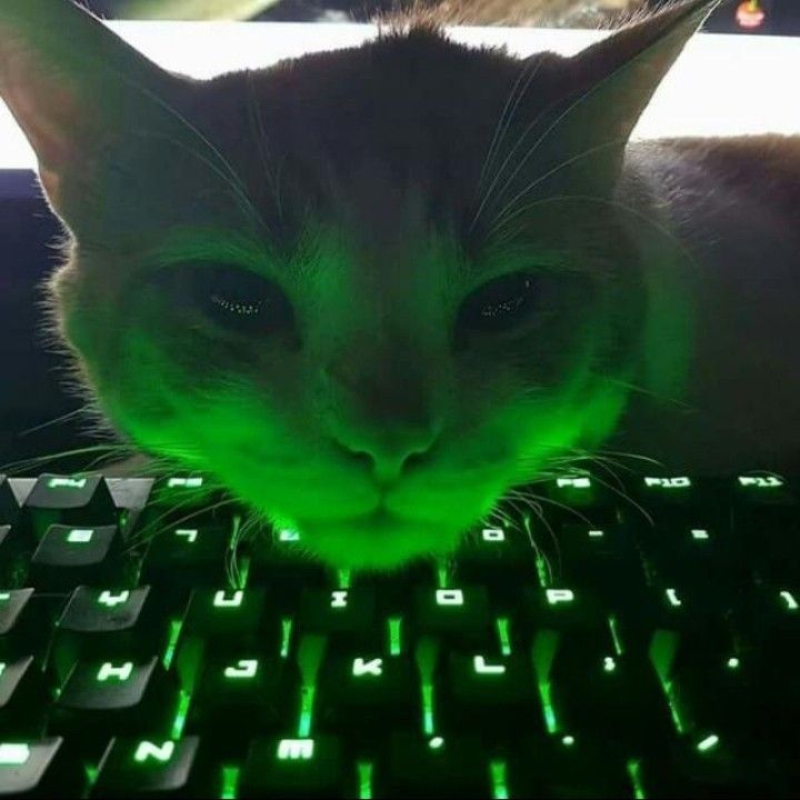 chicat1l0