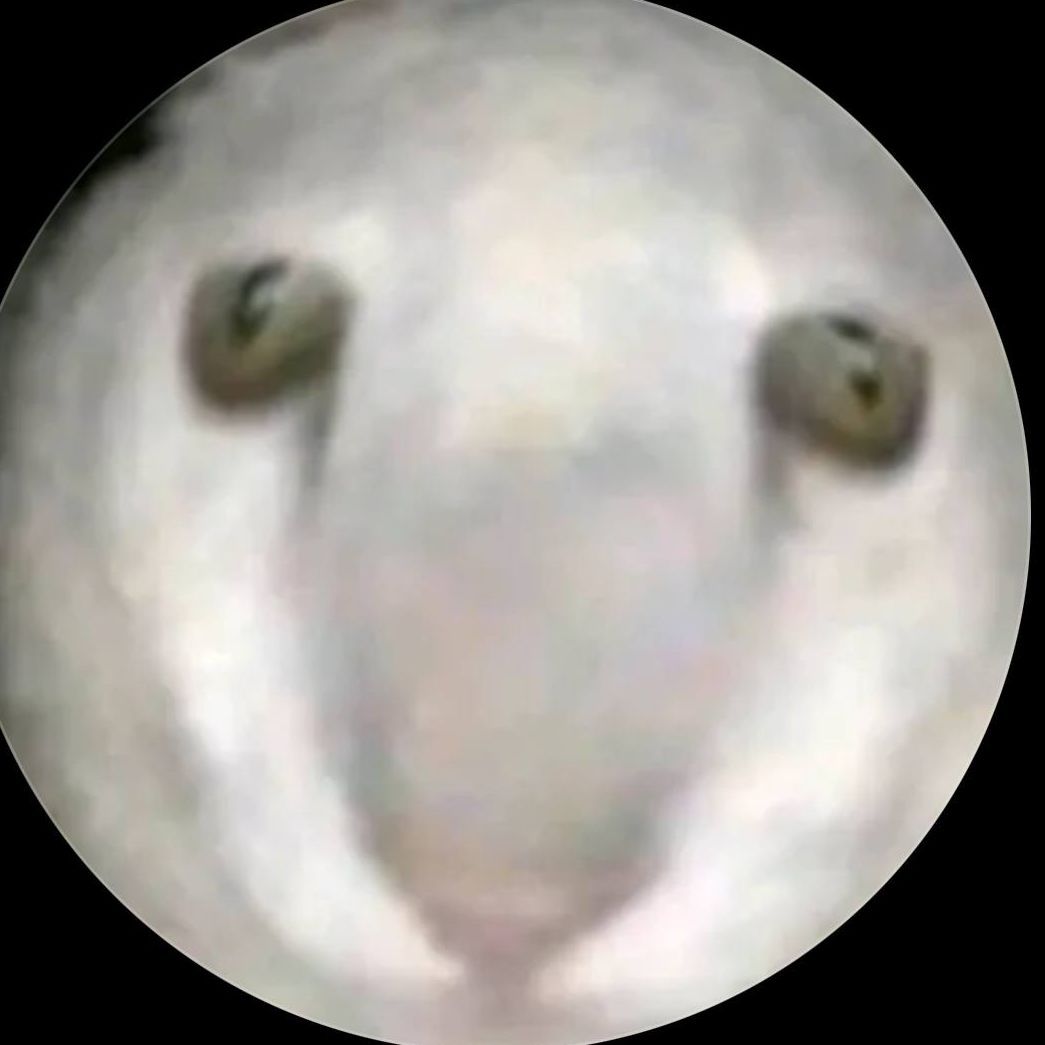 demon_ki FACEIT avatar