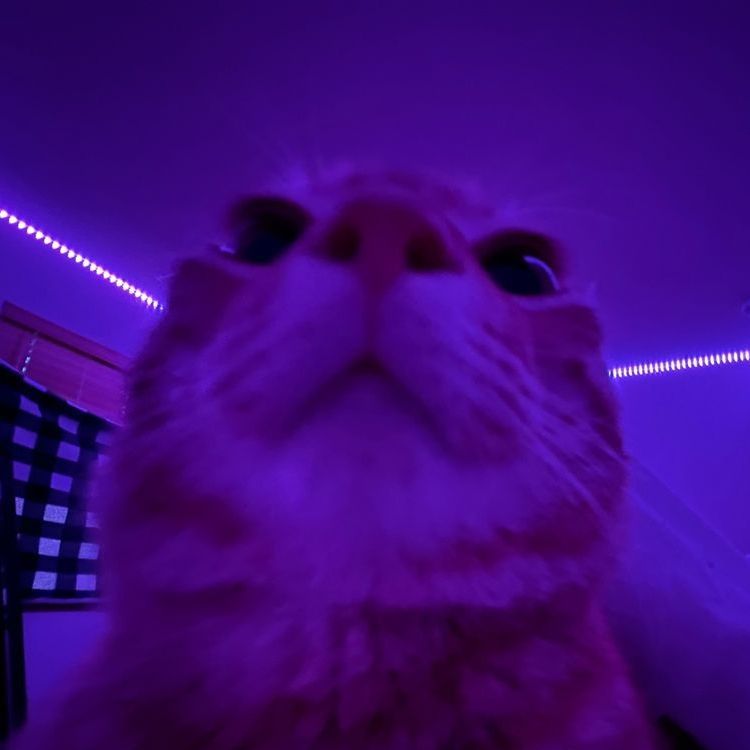 J1MMY_MAW1NA
