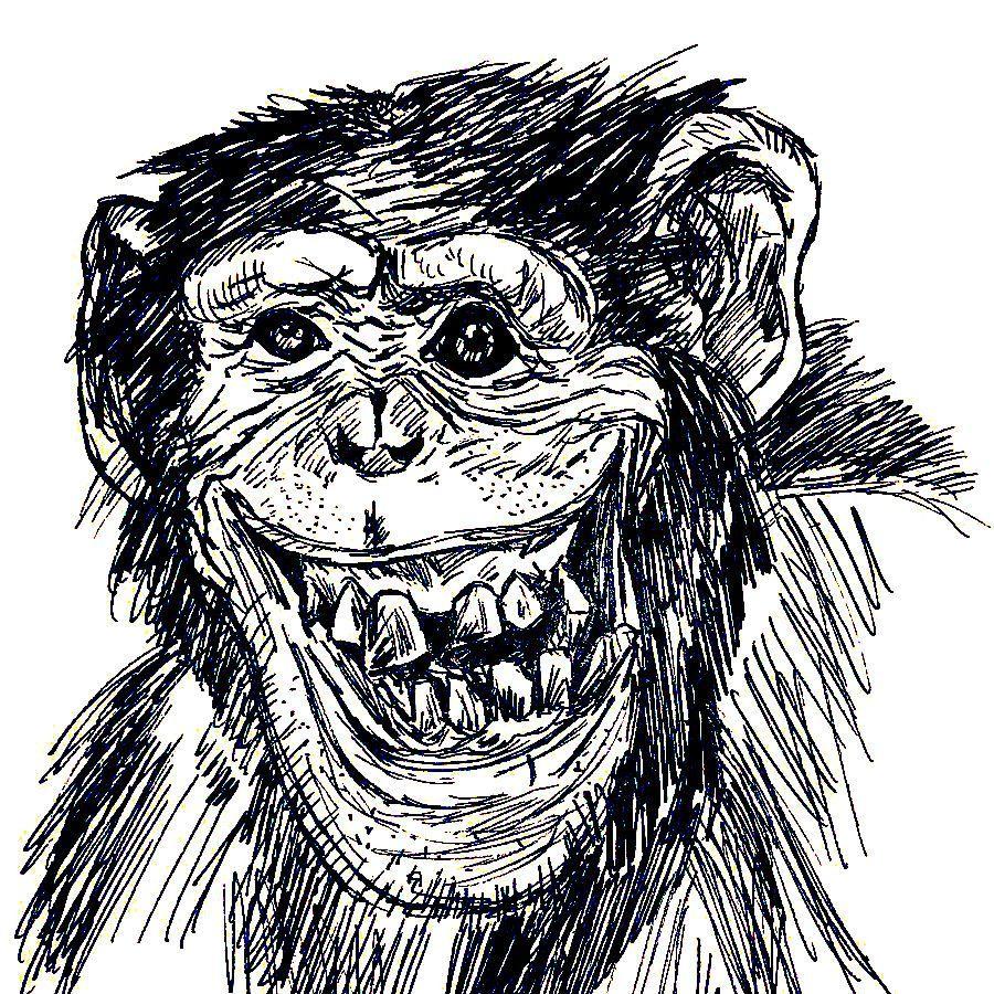 Bot_couteau avatar