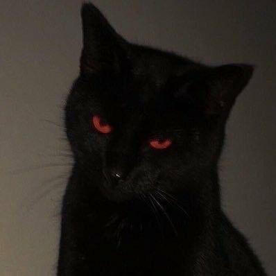 -N0rmal1ty
