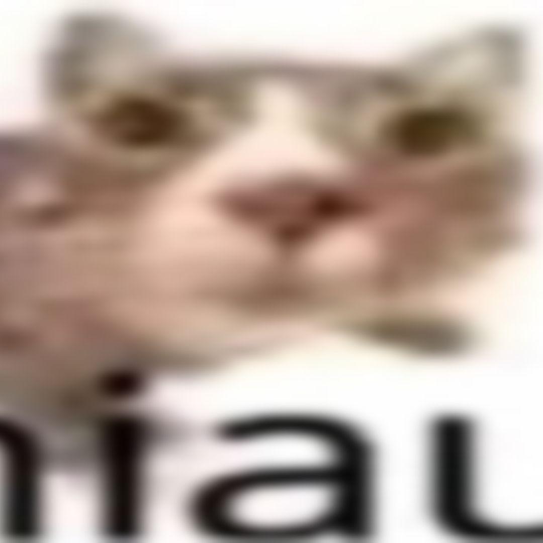 1337insid avatar