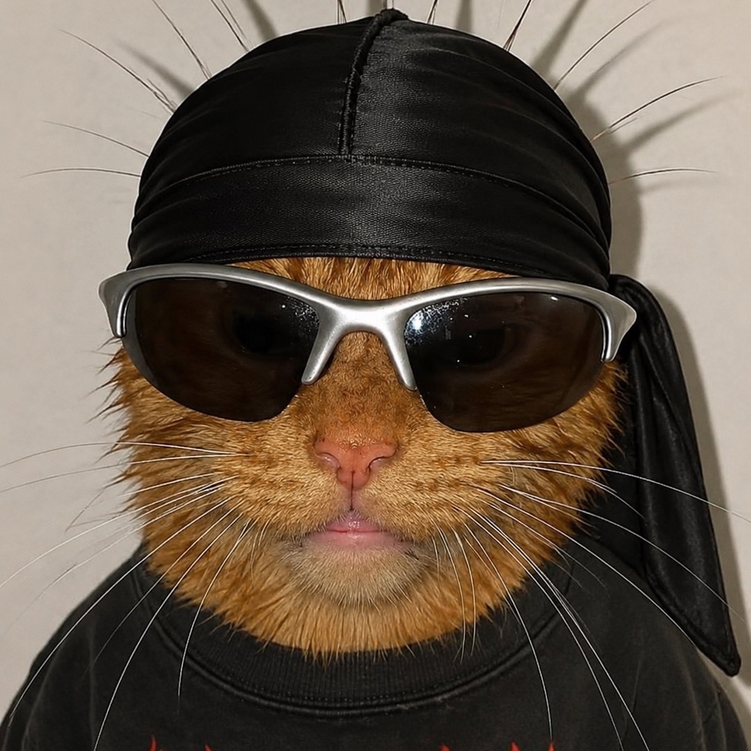 team_Meowzeus