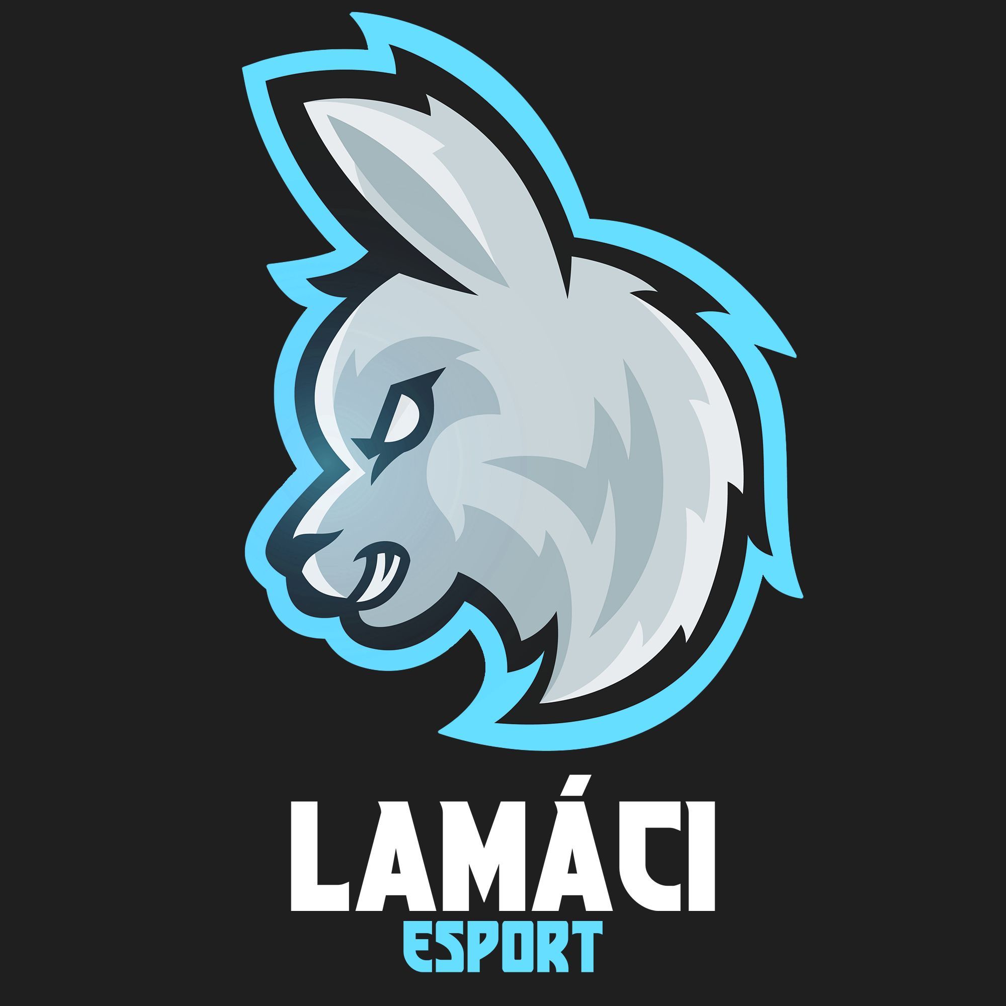 LAMACI CLAN - CS2