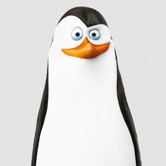 gwenael100 avatar