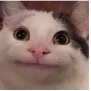 ttav1 avatar
