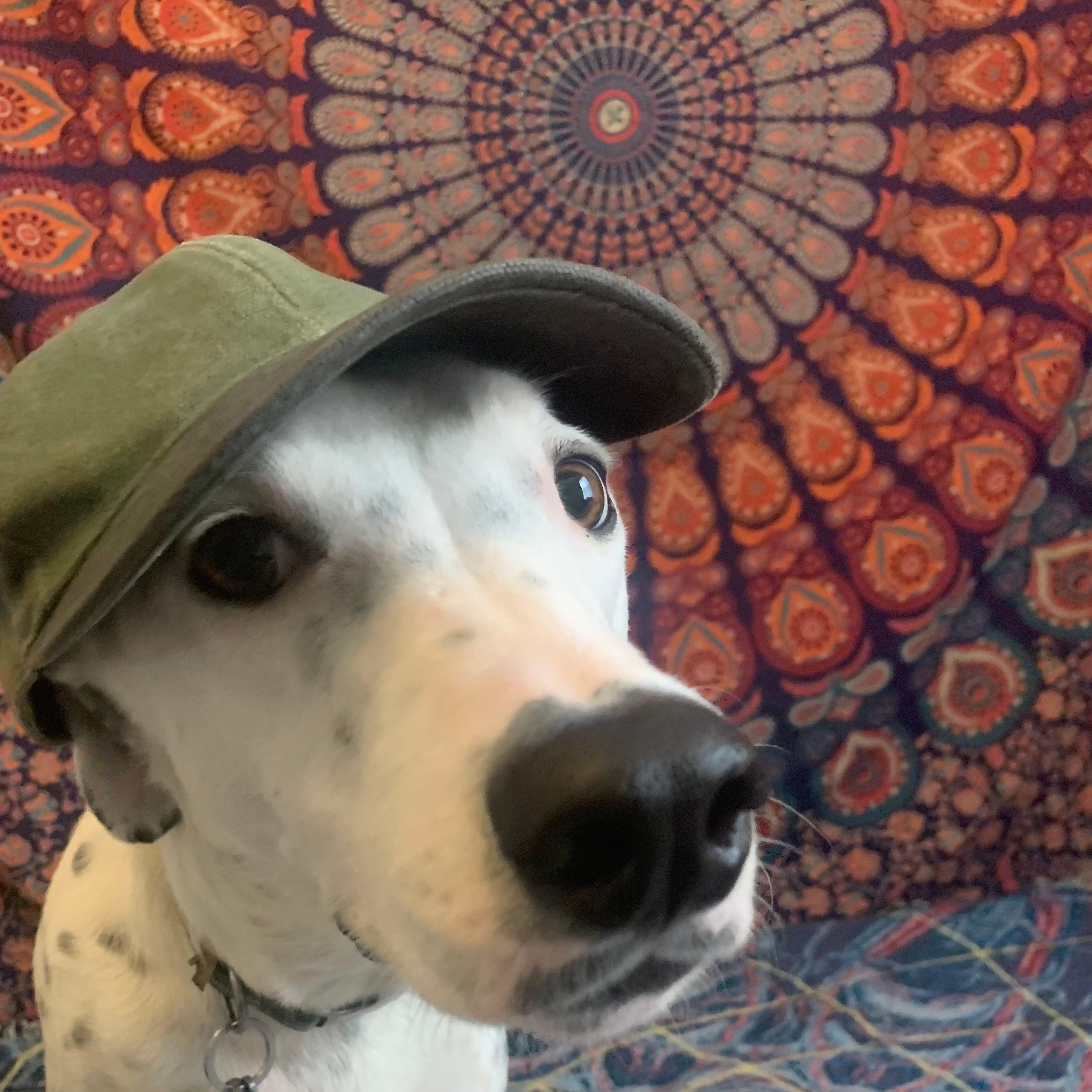 Doobscooba avatar