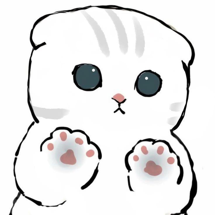 5exySwag avatar