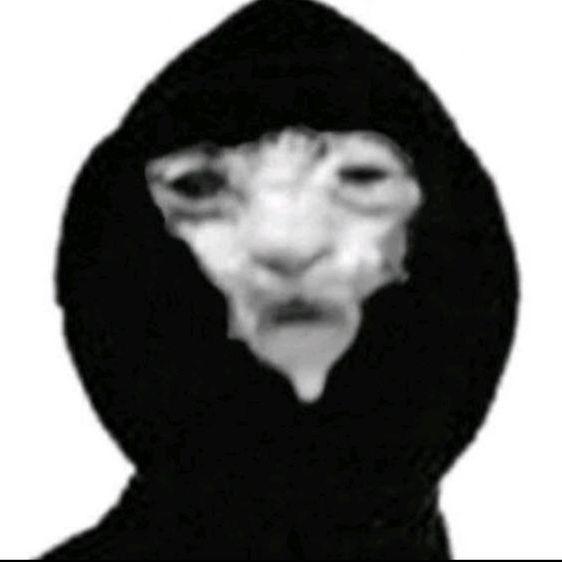 -dizee- avatar