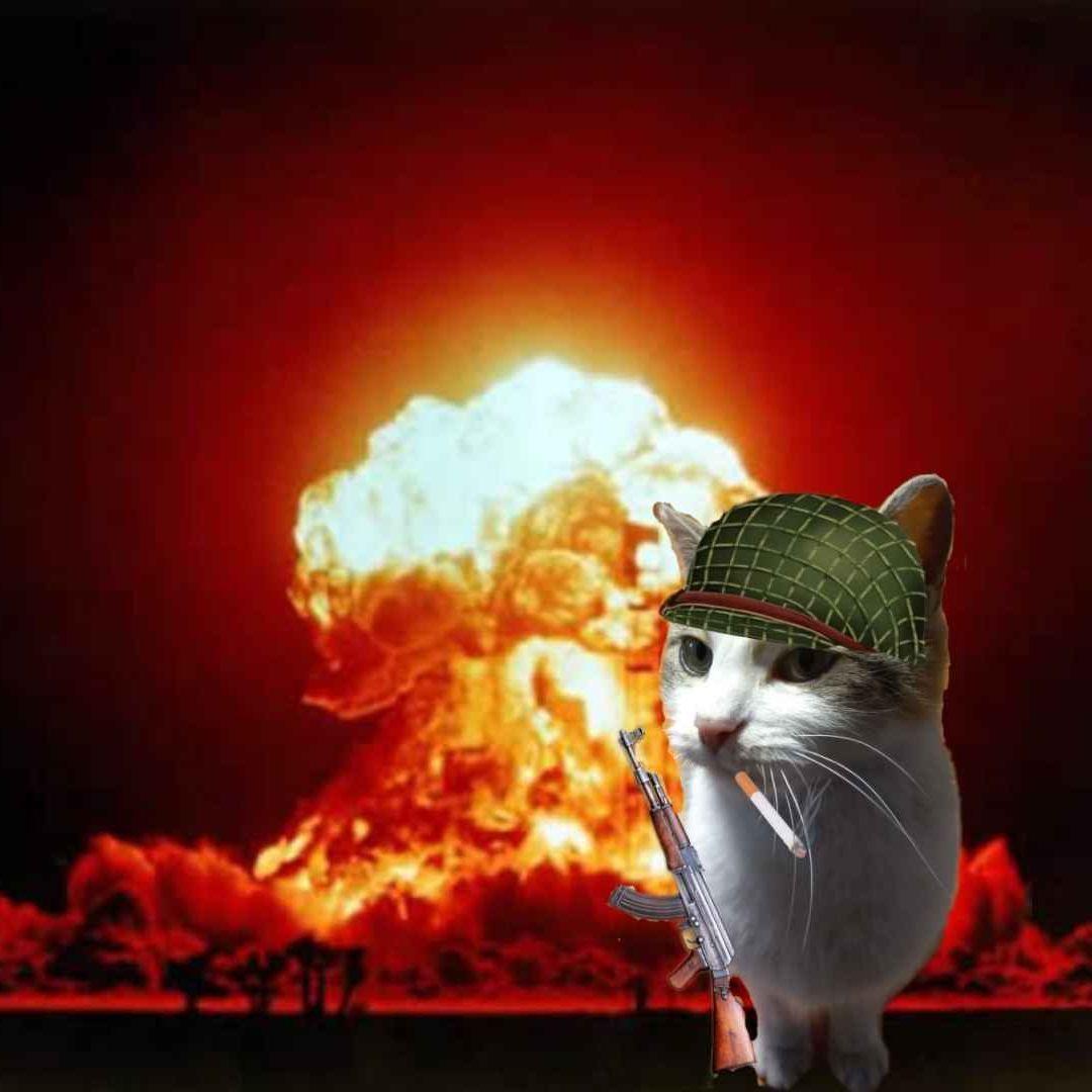 octi4 avatar