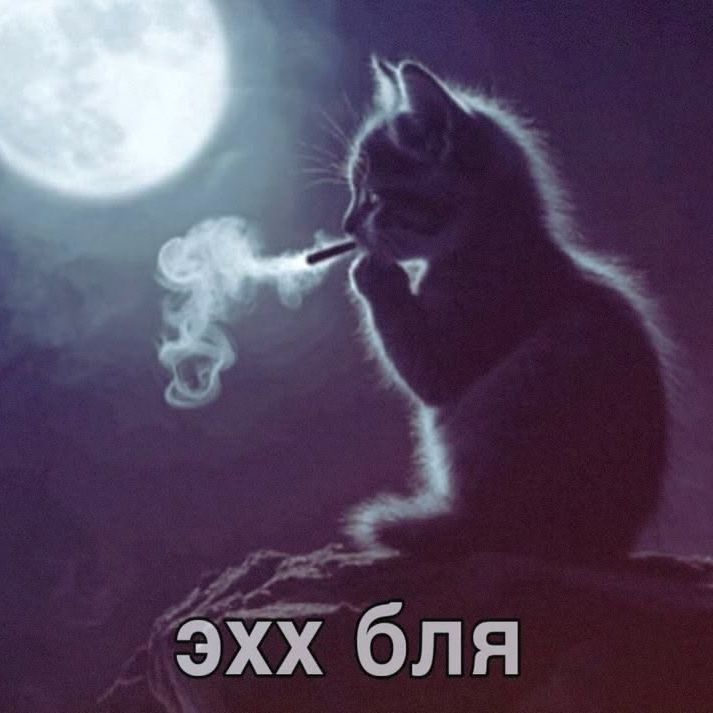 twentyfourth