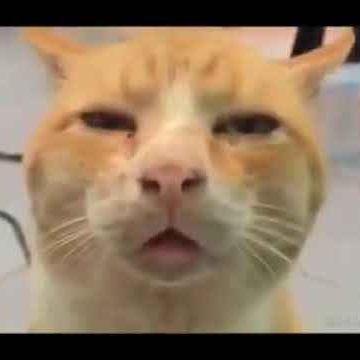 NoobKjng