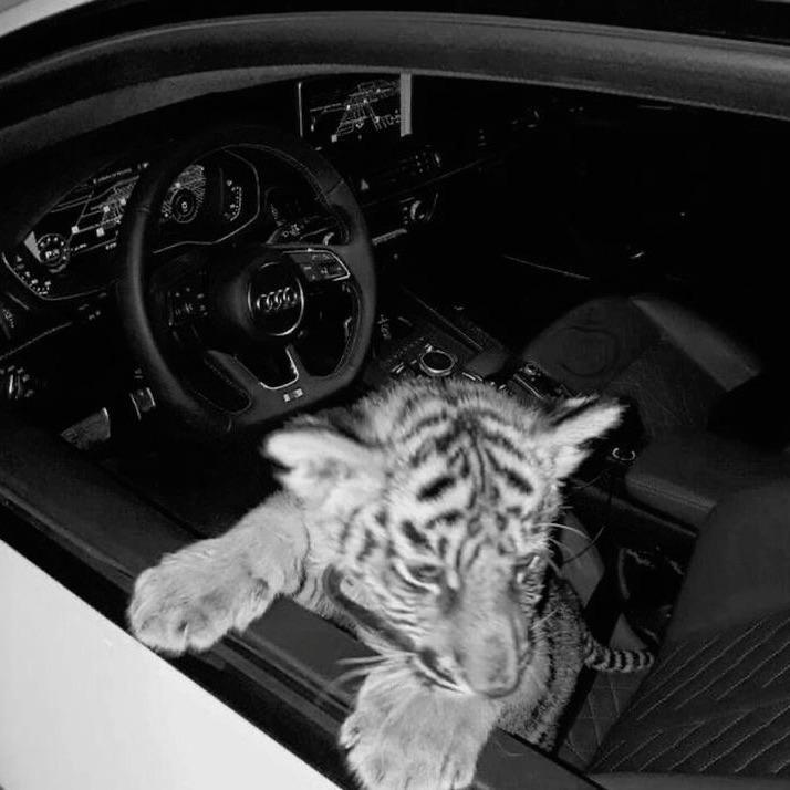 -clawbarry avatar