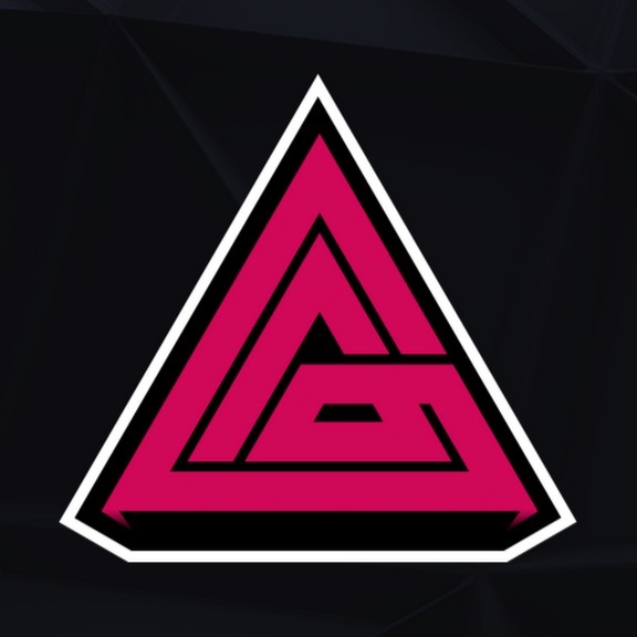 VisionX
