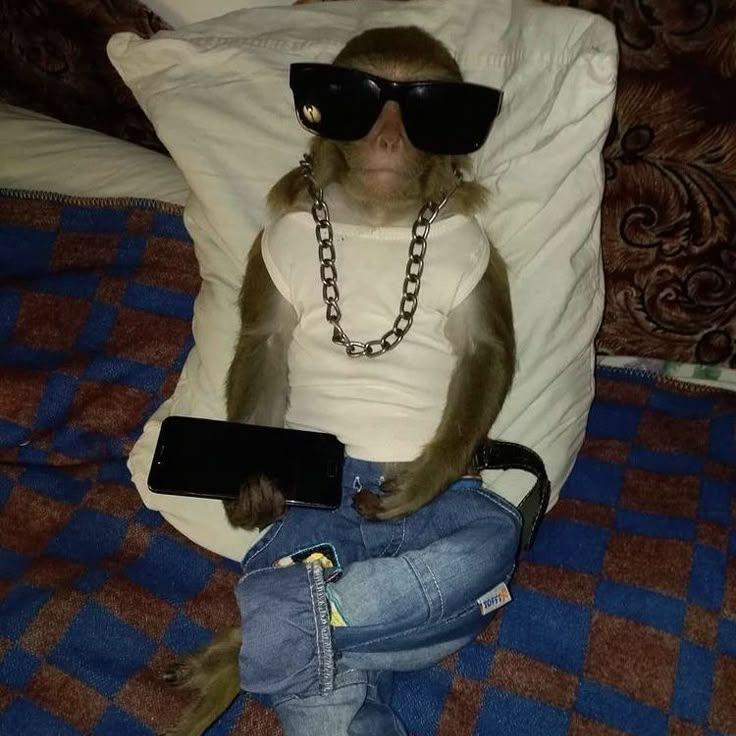 pLIKDI avatar