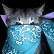 emmeek avatar