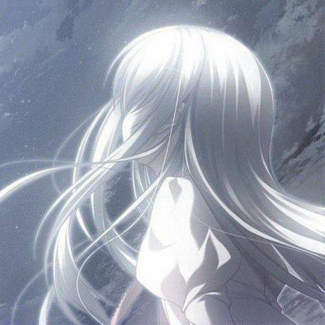s1ient28 avatar