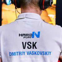 Player vsk avatar