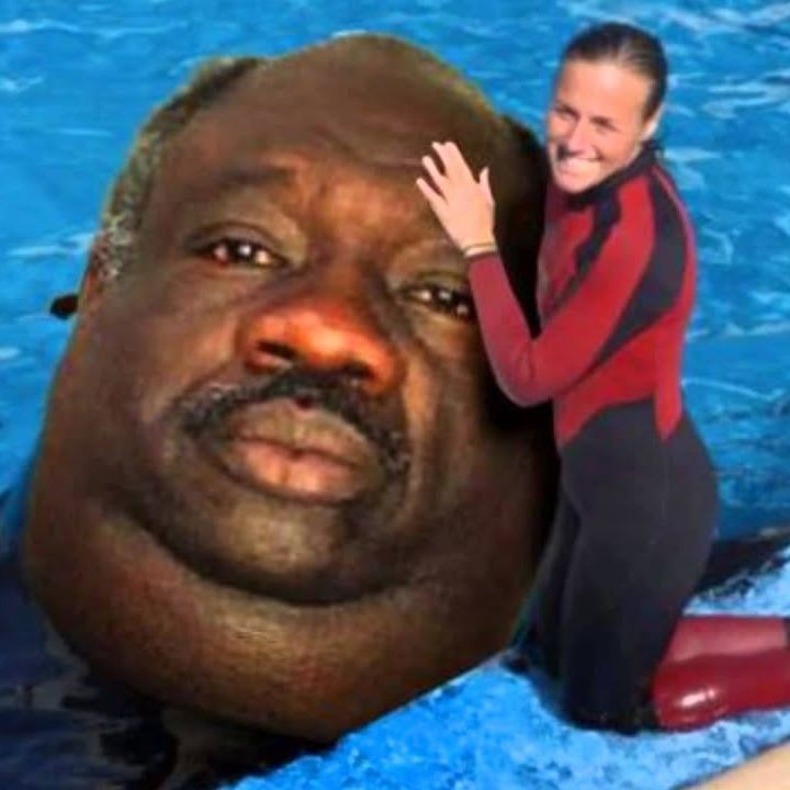 KubiikX