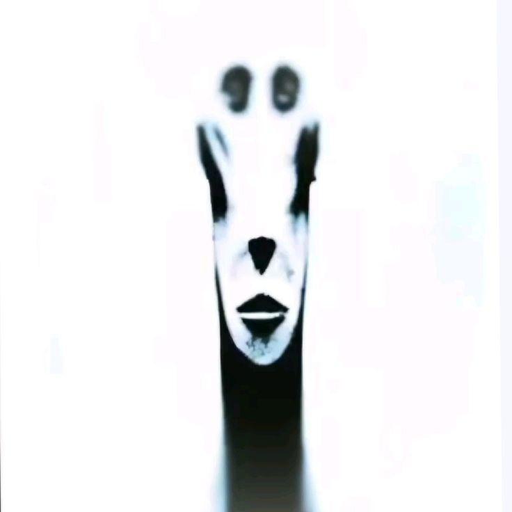-Rem avatar