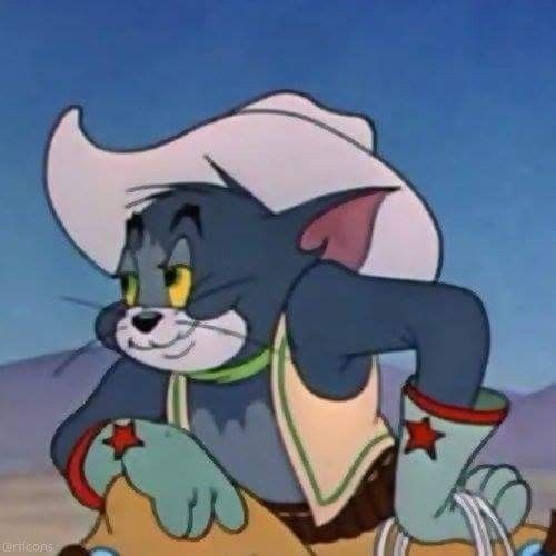Pulkkab