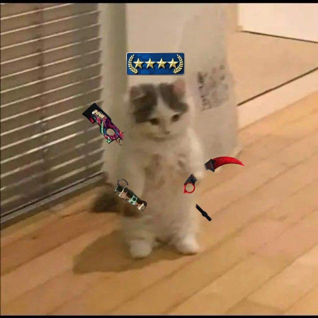 SouIReaper avatar