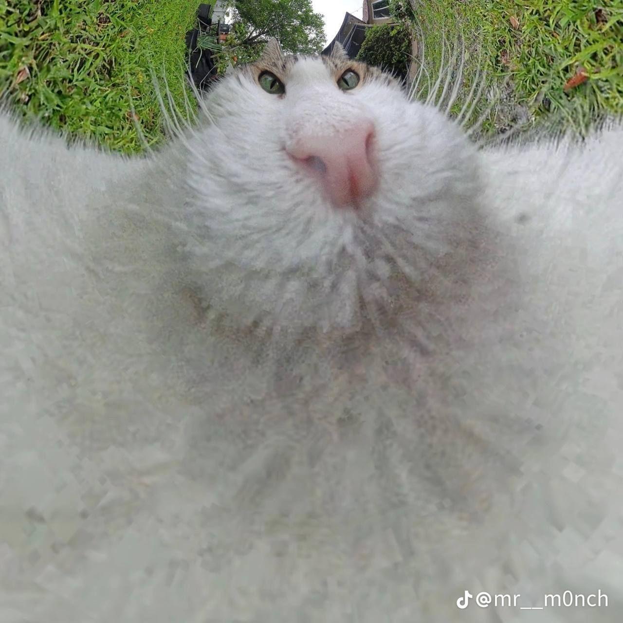 BPAr_CaTAHbI avatar
