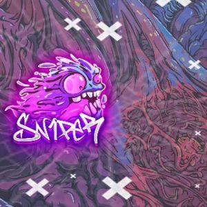 Sn1peR_Edits avatar