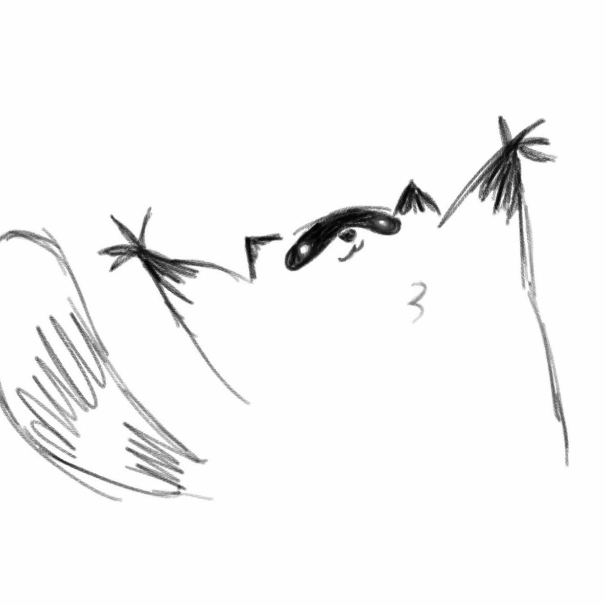 LuckeR_ok